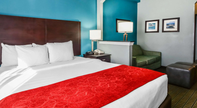 Двухместный люкс Comfort Suites Tampa - Brandon