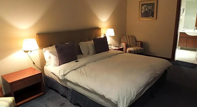 Номер Deluxe Plaza Hotel Beirut