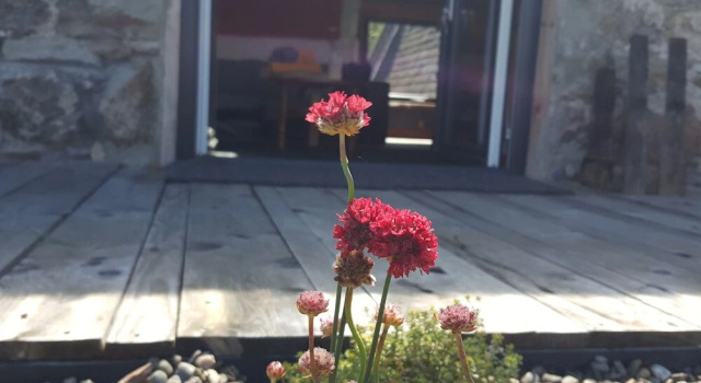 1 Bedroom Bothy on the Outskirts of Evanton, Book Hotel Evanton Northern Highlands