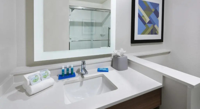 Четырёхместный номер Standard Holiday Inn Express & Suites Bryan - College Station by IHG
