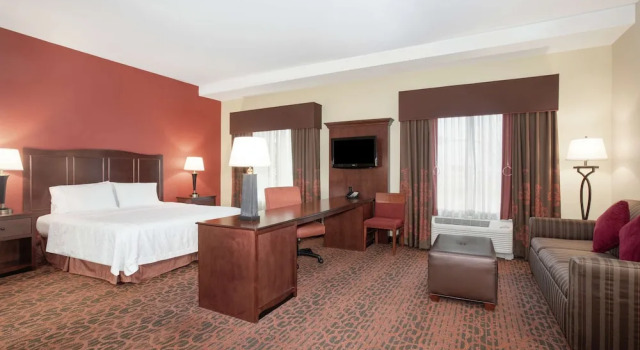 Студия Hampton Inn and Suites Denver/South-RidgeGate