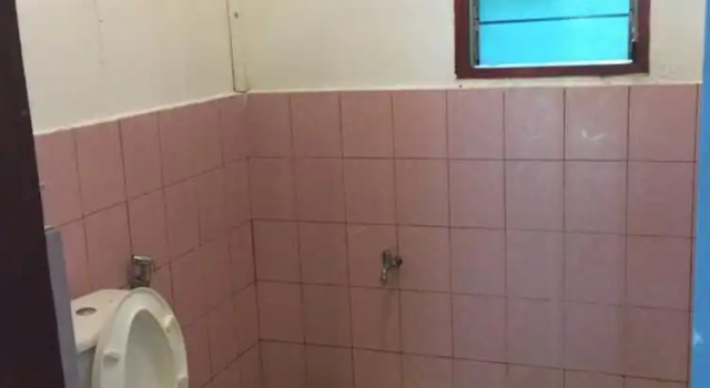 Номер Standard Sukau Backpackers Bed & Breakfast