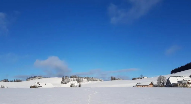 Апартаменты c 1 комнатой Chalet Breitnauschön