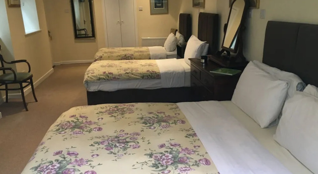 Трёхместный номер Standard Red Setter Town House B&B