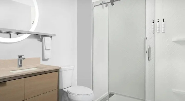 Двухместный люкс c 1 комнатой TownePlace Suites by Marriott Lake City