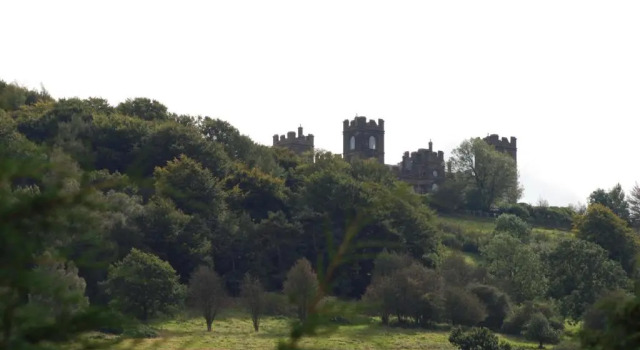 Номер Deluxe Castle Green Bed and Breakfast