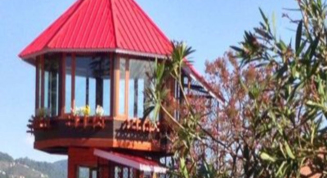 The Chalets Naldehra