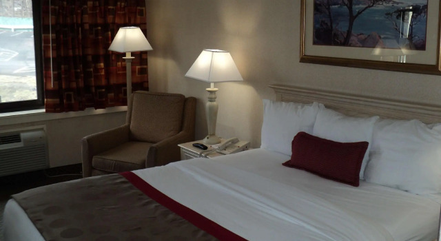 Двухместный номер Standard Ramada Yonkers