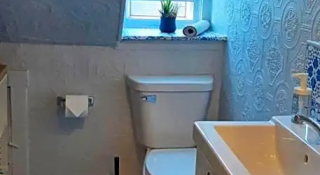 Люкс Deluxe Willow House Inn B&B