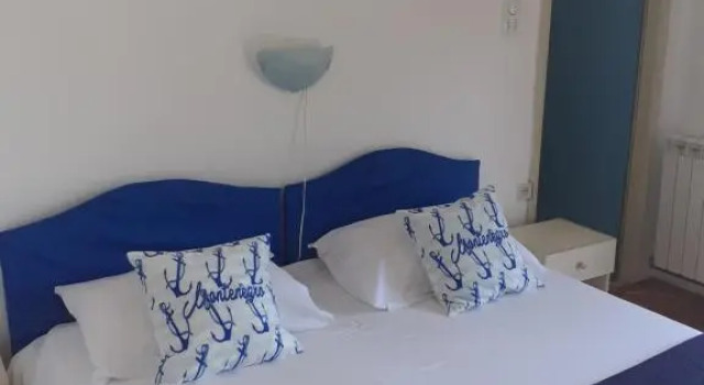 Номер Deluxe Guest House Vila Bak
