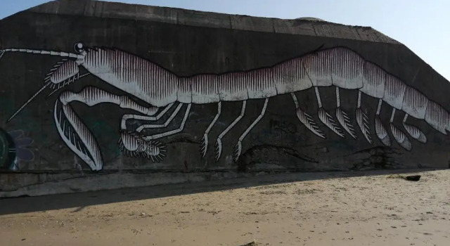 Ste Cécile Plage, Varaa Huoneisto Camiers 