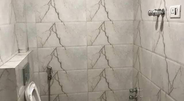 Номер Standard Hotel Delhi Continental