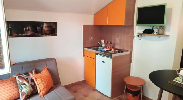 Апартаменты c 1 комнатой Apartments Martiva