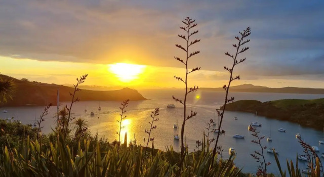Студия The Moorings Studio Apartments - Be My Guest Waiheke