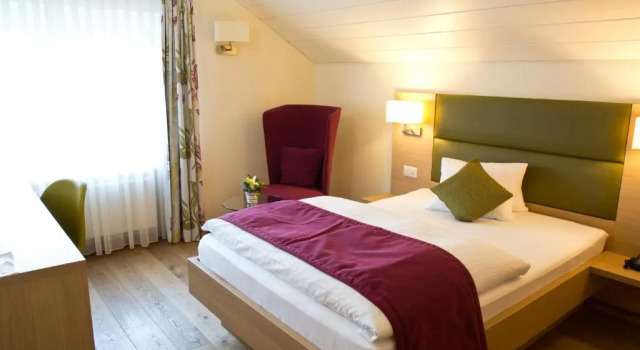 Номер Business Hotel Buchserhof