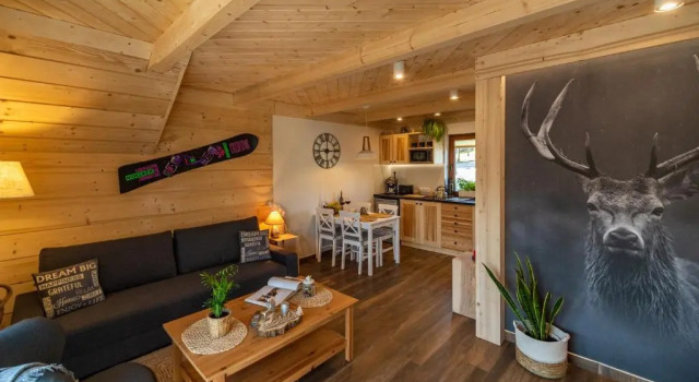 Апартаменты Apartament Leśny