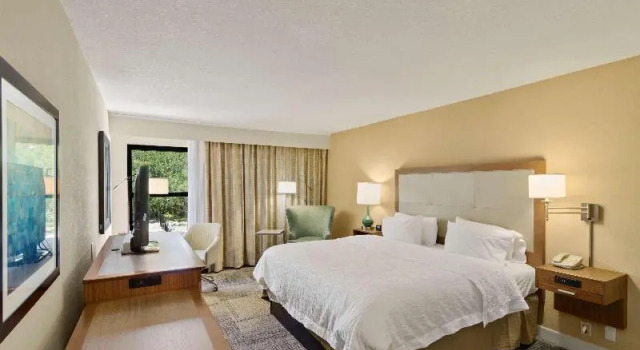 Studio Hampton Inn Mount Dora
