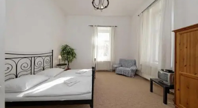 Apartment in Jiriho z Podebrad