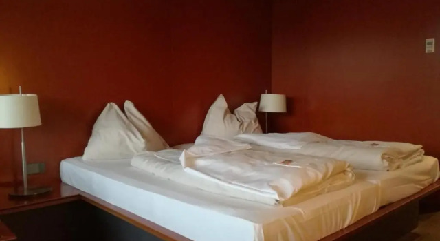 Номер Business Rosenberger Motor-Hotel Ansfelden