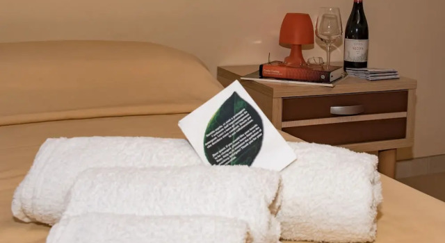 Двухместный номер Standard Hotel Milomax