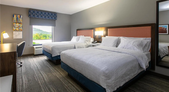 Четырёхместный номер Standard Hampton Inn & Suites Wilder