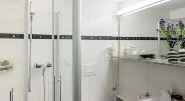 Двухместный полулюкс Hotel Luzernerhof