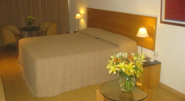 Двухместный номер Deluxe South American Copacabana Hotel