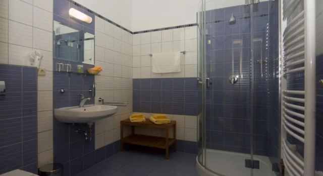 Двухместный номер Standard Hotelový a jezdecký areál Dvůr Krutěnice