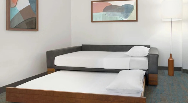 Студия SpringHill Suites Detroit Auburn Hills