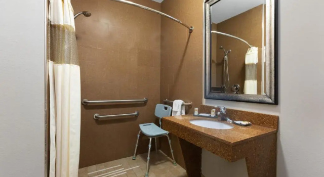 Номер Standard La Quinta Inn & Suites by Wyndham Alvin
