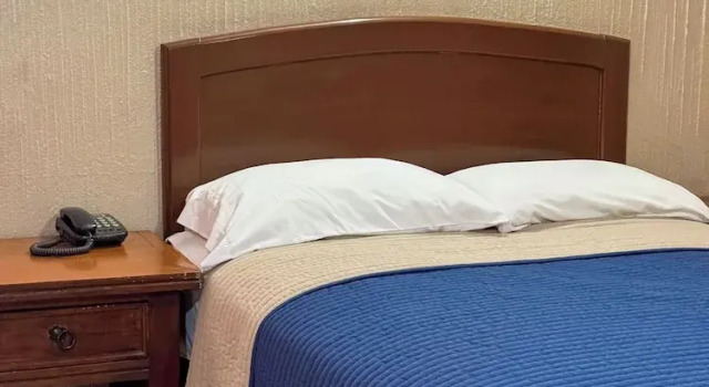 Двухместный номер Standard с красивым видом из окна Hotel Virginia