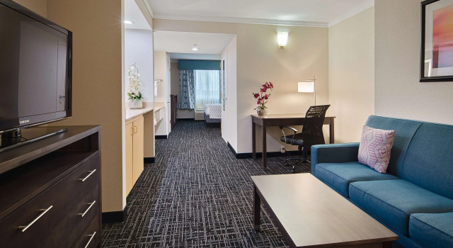 Двухместный люкс Best Western Fort Myers Inn and Suites