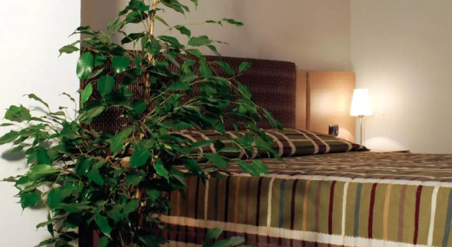 Одноместный номер Standard Hotel Santo Stefano