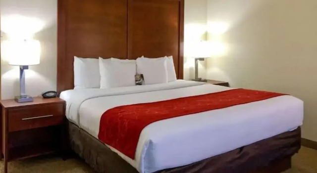 Номер Economy Vista Suites of Pigeon Forge