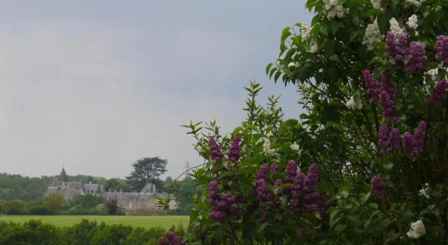 Студия Gîtes à lombre des chênes
