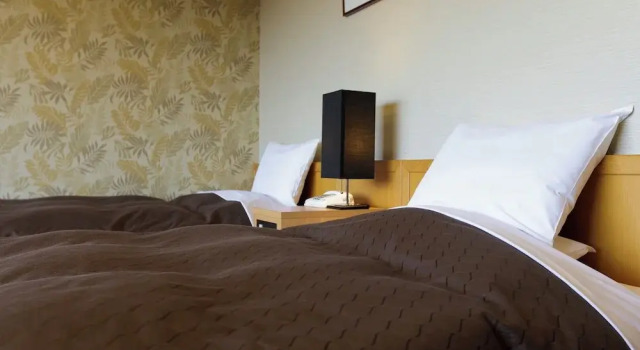 Номер Economy Hotel Shion