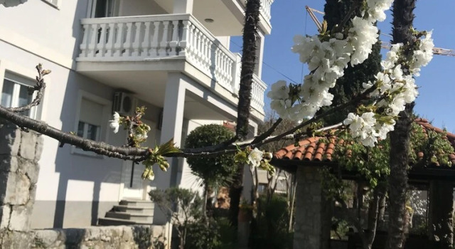 Inviting 1-Bed Apartment in Ičići