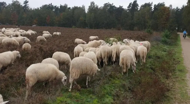 Коттедж Farmhouse in Veluwe With Sauna and Nature Views