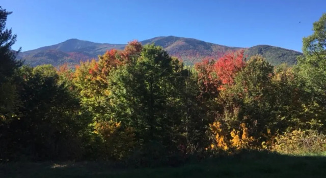Коттедж с 5 комнатами Breathtaking Views Near Lake Placid and Whiteface