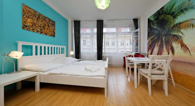 Апартаменты c 1 комнатой Apartments Vorsilska