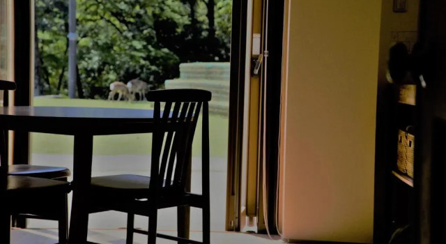 Апартаменты Mountain Home Lodge in Deer Park