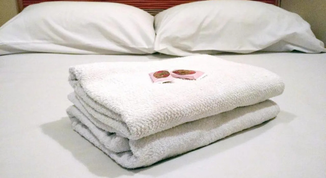 Одноместный номер Standard HOTEL PAULISTANO Parque Anhembi