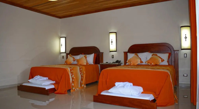 Номер Standard с видом на горы Hotel Los Lagos Spa & Resort
