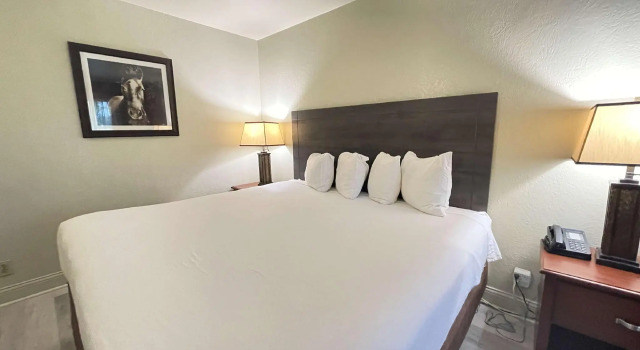 Двухместный номер Standard Comancheria Hotel & Convention Center