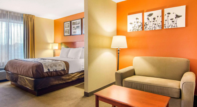 Двухместный люкс Sleep Inn & Suites Athens South