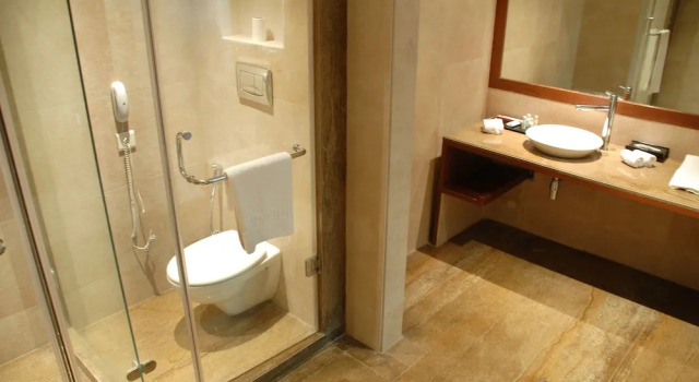 Номер Standard Cambay Grand