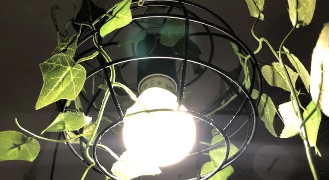 Капсула Aloha Capsule Hostel