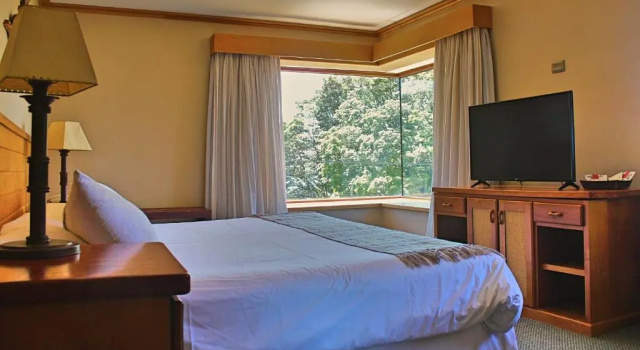 Двухместный номер Executive Hotel Puelche