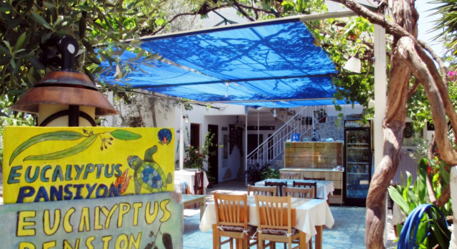 Eucalyptus Pension