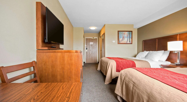 Четырёхместный номер Standard Comfort Inn & Suites